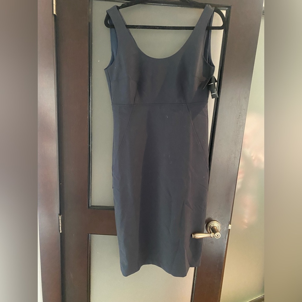 Club Monaco Dress
